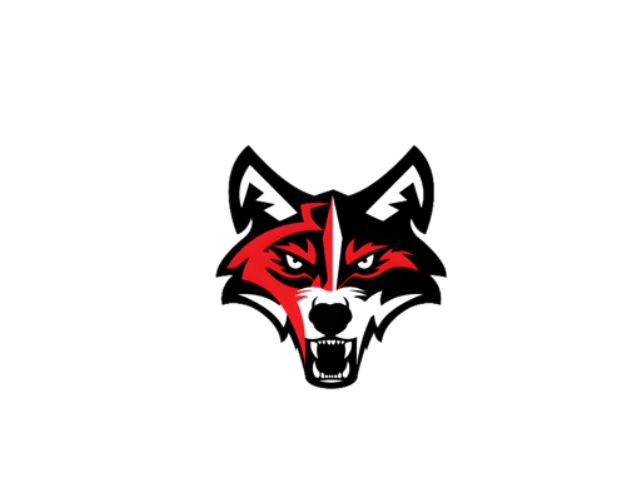 Clarkson logo